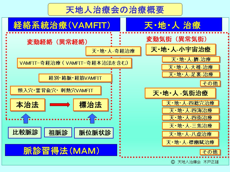 天・地・人 治療　鍼灸医術の根本的治療システム　木戸正雄 天・地・人 治療 木戸正雄 変動経絡検索法〈VAMFIT〉 ーだれでもできる経絡